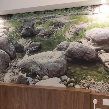 Mathera Boutique 公寓 马泰拉