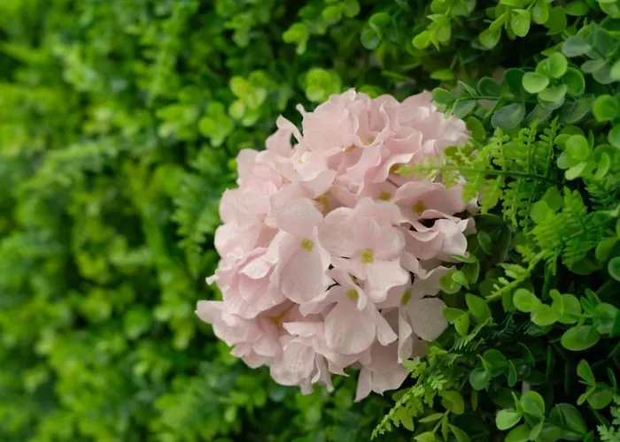 Mathera Boutique Apartament