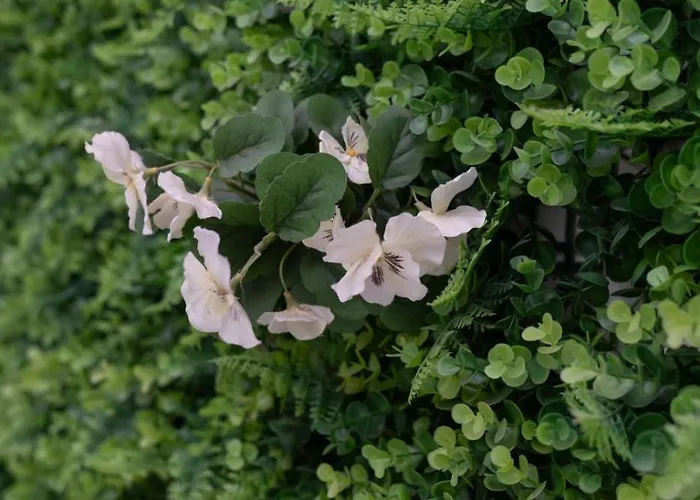 Mathera Boutique Matera